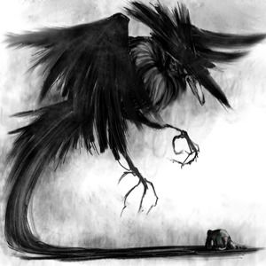 Meet your Posher, Conner